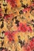 Swiss Cotton Silk Printed (Flower Design)