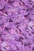 Washable V.Versace Crepe Printed