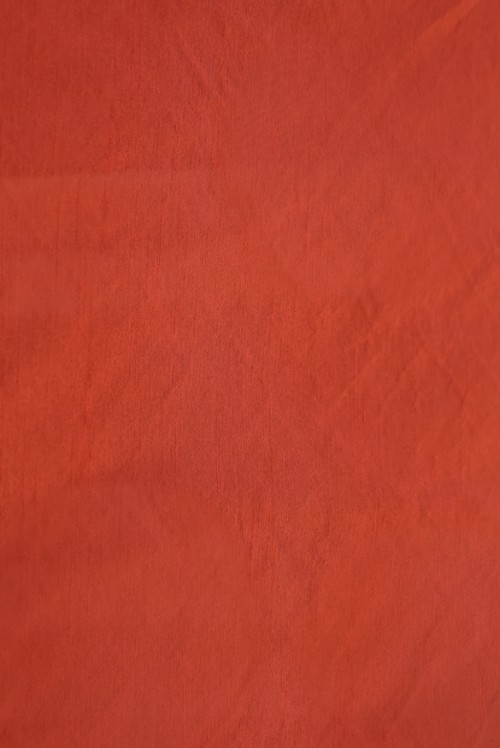 PLAIN RAW SILK