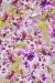 Washable V.Versace Crepe Printed