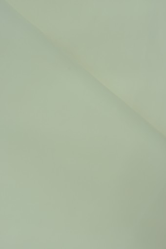 PLAIN ORGANZA 58"